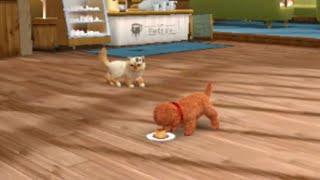 Nintendogs + Cats Episode 2 Pastina and Precious