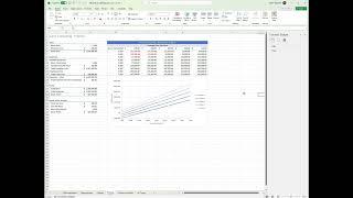 Cairo Consulting Module 8: SAM Project 1a