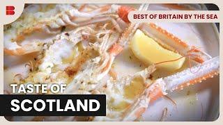 Dive Into Fresh Scottish Seafood - Best of Britain By The Sea - Food Documentary