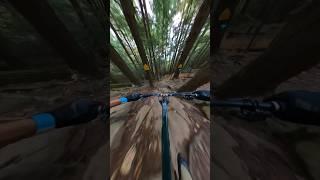 I like my trails like my coffee... BLACK  #mtb #mountainbike