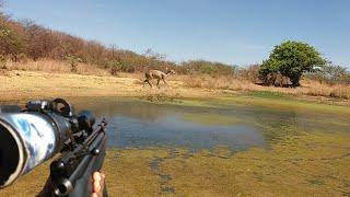  Caçada de veado na bebida e na comida 