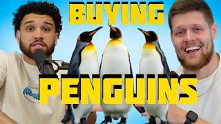 WE BOUGHT PENGUINS  -You Should Know Podcast- Episode 62