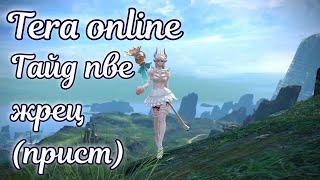  Tera online гайд жрец(прист) пве актуально 2024 для Menma и Asura 