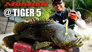 Monster Grouper Fishing at Tiger 5 featuring Storm Monstar Rod