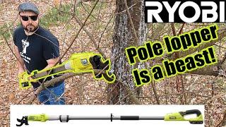 Ryobi  18v pole lopper makes the cut!