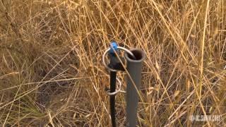 Ecosystems of California: Grasslands