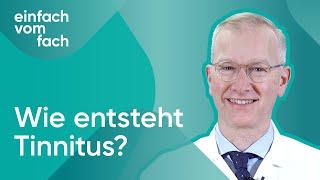 Wie entsteht Tinnitus?