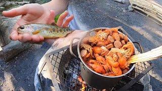 CRAWFISH BOIL + CREEK FISHING FOR WILD TROUT!!