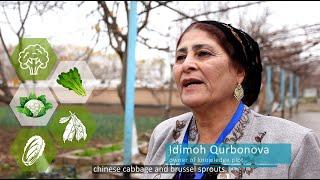 Diet Diversity: RECIPE OF SALAD WITH BROCCOLI