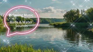  River Water & Bird Song | Sun, Clouds & Light | 10-Hour Relaxing Sleep Music for Stress Relief 