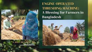 Engine-Operated Threshing Machine: A Blessing for Farmers in Bangladesh #balaram_mahalder