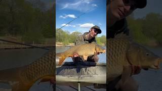 Как мы впервые участвовали в карповых соревнованиях #MethodCrew #Carpfishing #карпфишинг #рыбалка