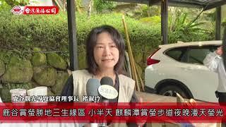 1100422遊客DIY賞螢竹燈  鹿谷業者帶你憶童年