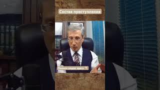 #право #юриспруденция #лекция #уголовное_право #мельниченко #правоведение #тгп #просто_о_праве
