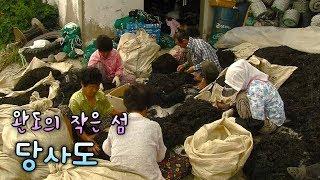 섬 속의 작은 섬, 당사도 [Korea Island]