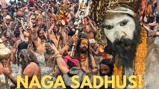 How the HE*L Did I Become a Part of This VERY Feared Closed Sect! (Naga Sadhus)