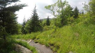 Missing People | Mysteries in Smokey Mountains | Cades Cove, Newfound Gap & Clingmans Dome