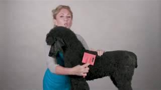 Chris Christensen Big G Slicker Brush for Poodles