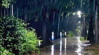 Sleep with the Heavy Rain Pouring Down all Night - Rain Sounds Calm the Mind, Relieve Insomnia