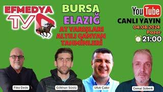 Bursa ve Elazığ At Yarışları Altılı Ganyan Tahminleri "05.08.2024 Pazartesi"