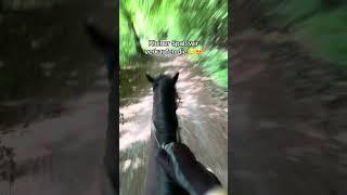 Warte bis zum Ende  #reiten #equestrian #mediamarkt #ausreiten #pferdemädchen
