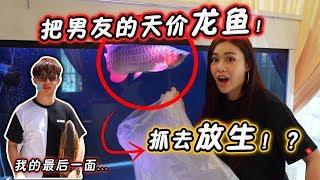 偷偷放生男友天價龍魚！男友直接瘋狂了！？