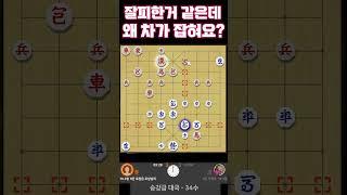 가만있다 깜짝 놀란 차