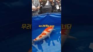 물고기 한마리에 24억?ㄷㄷ