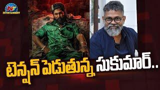 #Pushpa2 Movie Shooting Update !! | Allu Arjun | Sukumar | Rashmika Mandanna | NTV ENT