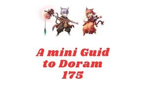 Ragnarok Online - EU Prime Doram lvl 1 - 175  Guide