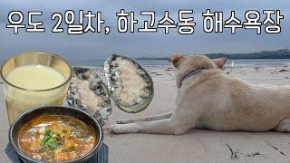 우도 여행 브이로그| 우도, 우도 맛집, 우도고래펜션, 하고수동해수욕장, 우도 자전거, 우도 전복회, 우도 국밥, 우도해장국밥, 해와달그리고섬, 우도 횟집, 제주도 우도, 여행