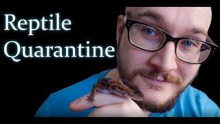 Why You MUST Quarantine Your Reptiles And How To Do It | New Reptile Reveal!