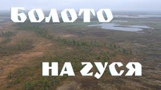 В поисках гусиного болота (часть первая)