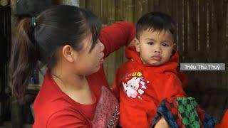 Single mother harvests sugarcane and takes care of farm animals. Trieu Thu Thuy.