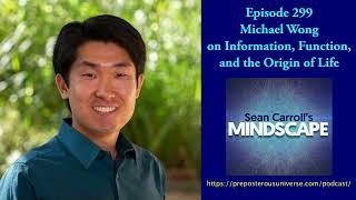 Mindscape 299 | Michael Wong on Information, Function, and the Origin of Life