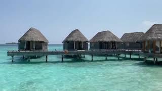 IN MALDIVES Milaidhoo Island Maldives 2024 | The Perfect Honeymoon Resort in Maldives