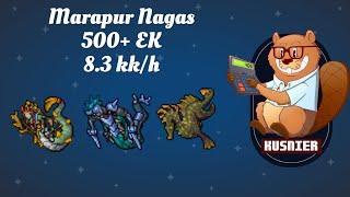 Marapur Nagas | 5.5 kk/h raw | 500+ Knight | Tibia Hunting Guide