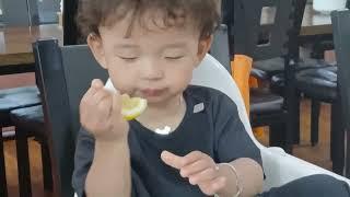 레몬 먹기 도전 #22개월아기 #baby #cute