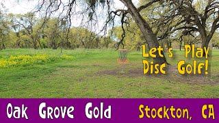 Playing Disc Golf at Oak Grove Gold + Course Preview