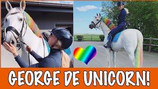 GEORGE OMTOVEREN TOT UNICORN!  | PaardenpraatTV