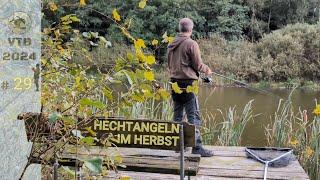 Spontanes Angeln auf Hecht | Hechtangeln mit Köderfisch | pike fishing