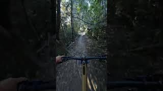 Fade to CAP  . Victoria Park.   #mtb #mountainbike #metal #christchurchadventurepark