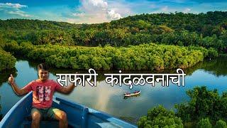 आम्ही अनुभवलेली कांदळवनाची सफर l Konkan boat Ride l Mangroves Forest | कोंकणातील कांदळवने