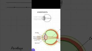 Как работают очки?  #физика #егэ #егэ2023 #огэ2023 #огэ