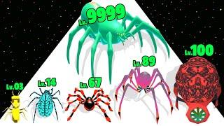 Spider Run Evolve - Level Up Spider Max Level Gameplay (Insects Evolution Run)