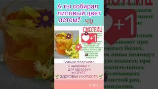 Зачем нам липовый цвет?  ЖМИ  и 