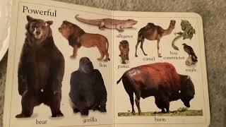 My First Animal Book