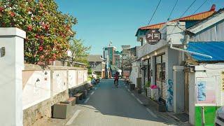 [4K HDR] Exploring Gangwon Province 2021 Wolwha street and Myeongjudong in Gangneung Tour Korea