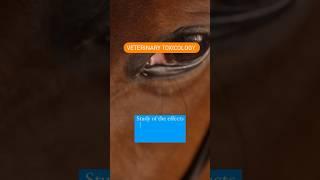 Veterinary Toxicology (3/5)