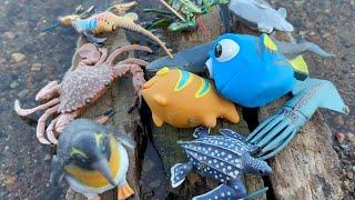 Exploring the Majestic Creatures of the Sea: An Educational Toy Journey